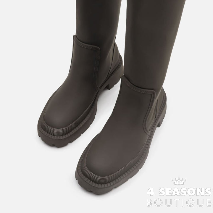 Bota Astik